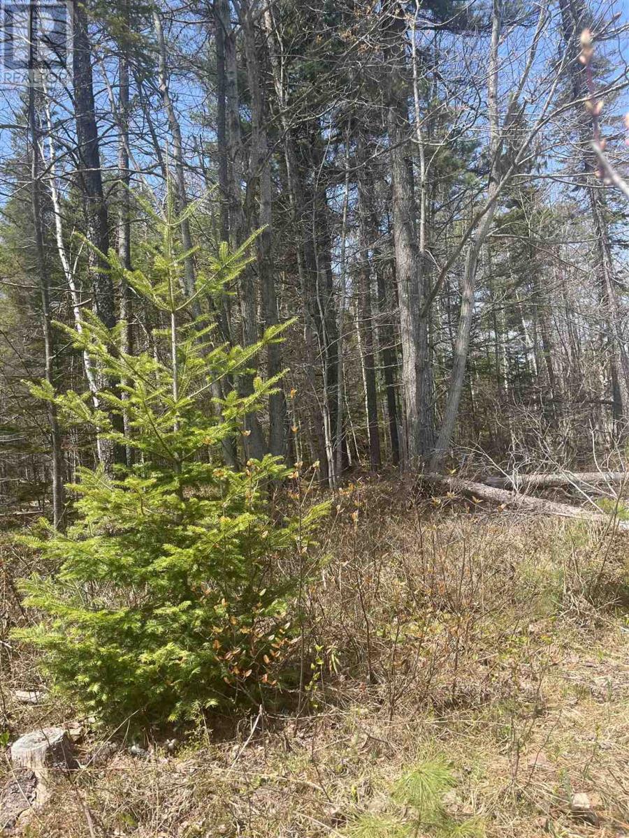 Land in Sault Ste. Marie 5