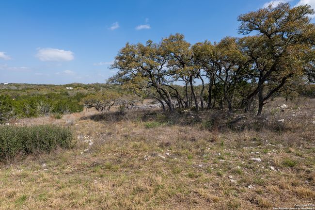 114 County Road 2721, Home with 0 bedrooms, 0 bathrooms and null parking in Mico TX | Image 6