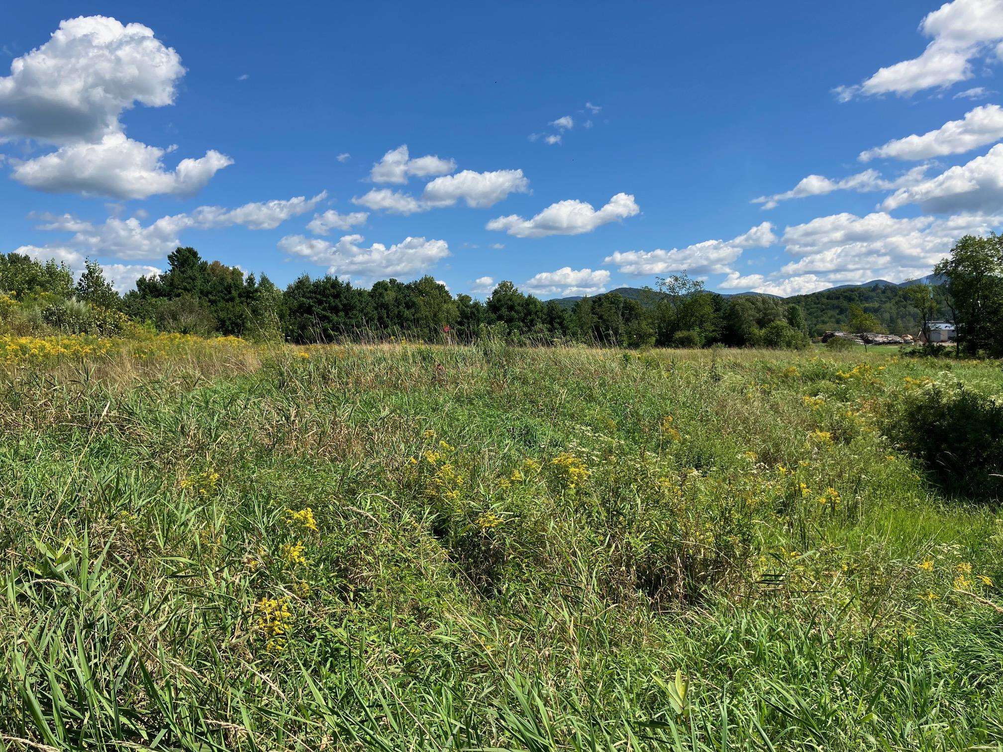 Land in Richford 3