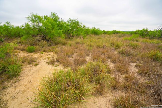 16131 El Indio Hwy, Home with 0 bedrooms, 0 bathrooms and null parking in Eagle Pass TX | Image 13