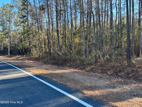 0 Biggs Rd, Rowland, NC, 28383 | Card Image