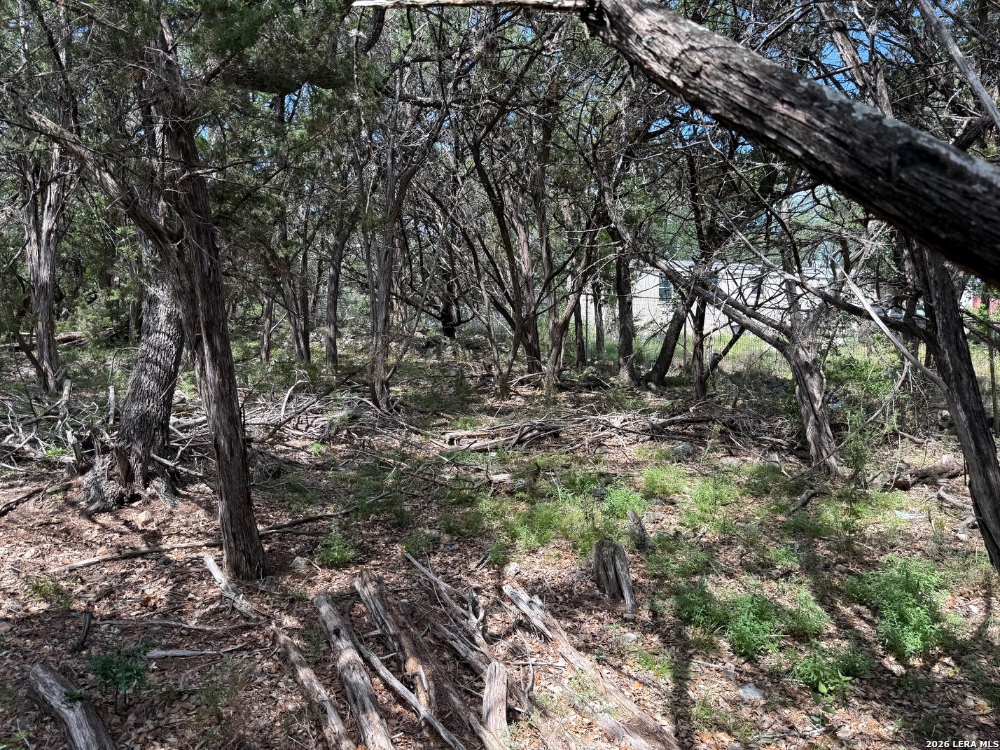 Land in Spring Branch 5