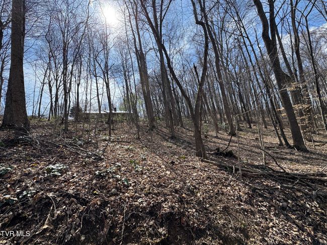 649 Sugar Run Rd, House other with 4 bedrooms, 3 bathrooms and null parking in Jonesville VA | Image 26