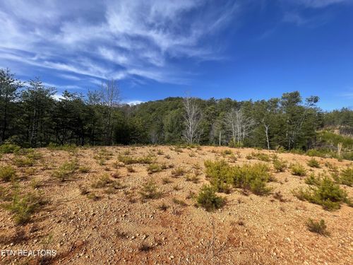 36 Bullet Mountain Dr, Tellico Plains, TN, 37385 | Card Image