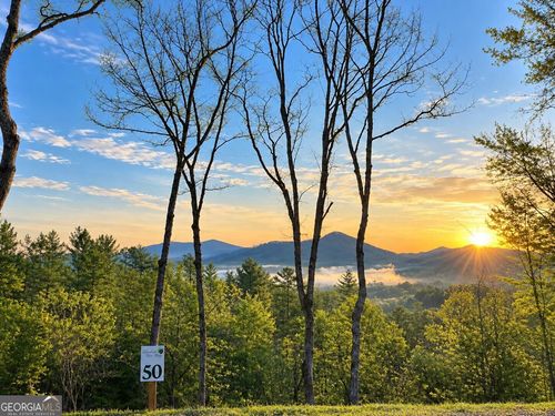 50 Mountain Laurel Ridge, Mineral Bluff, GA, 30559 | Card Image