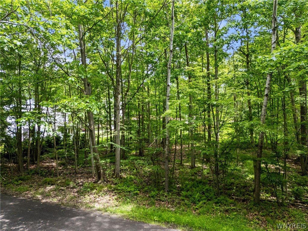 Land in Jamestown 3