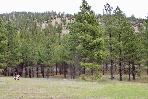 NHN Sleeman Creek Rd, Lolo, MT, 59847 | Card Image