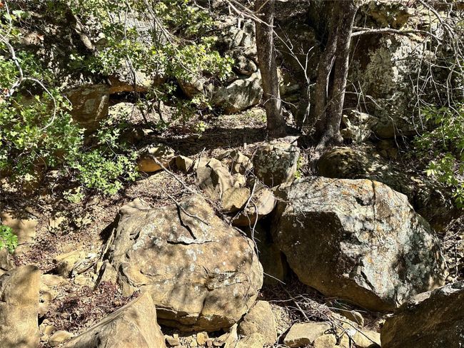View of local wilderness | Image 13