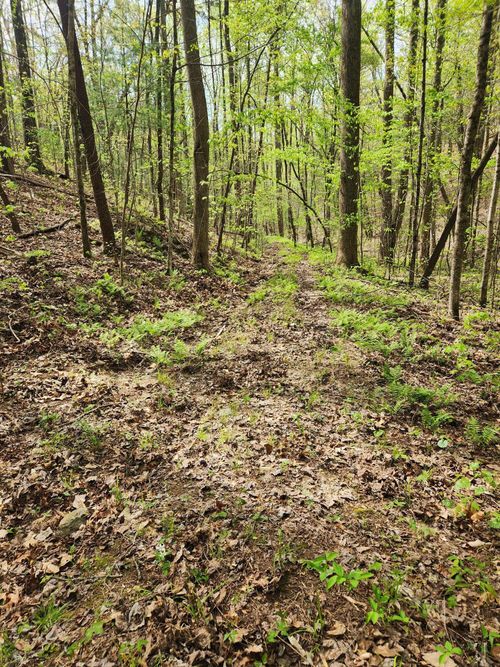 00 Chestnut Mountain Rd, Reliance, TN, 37369 | Card Image