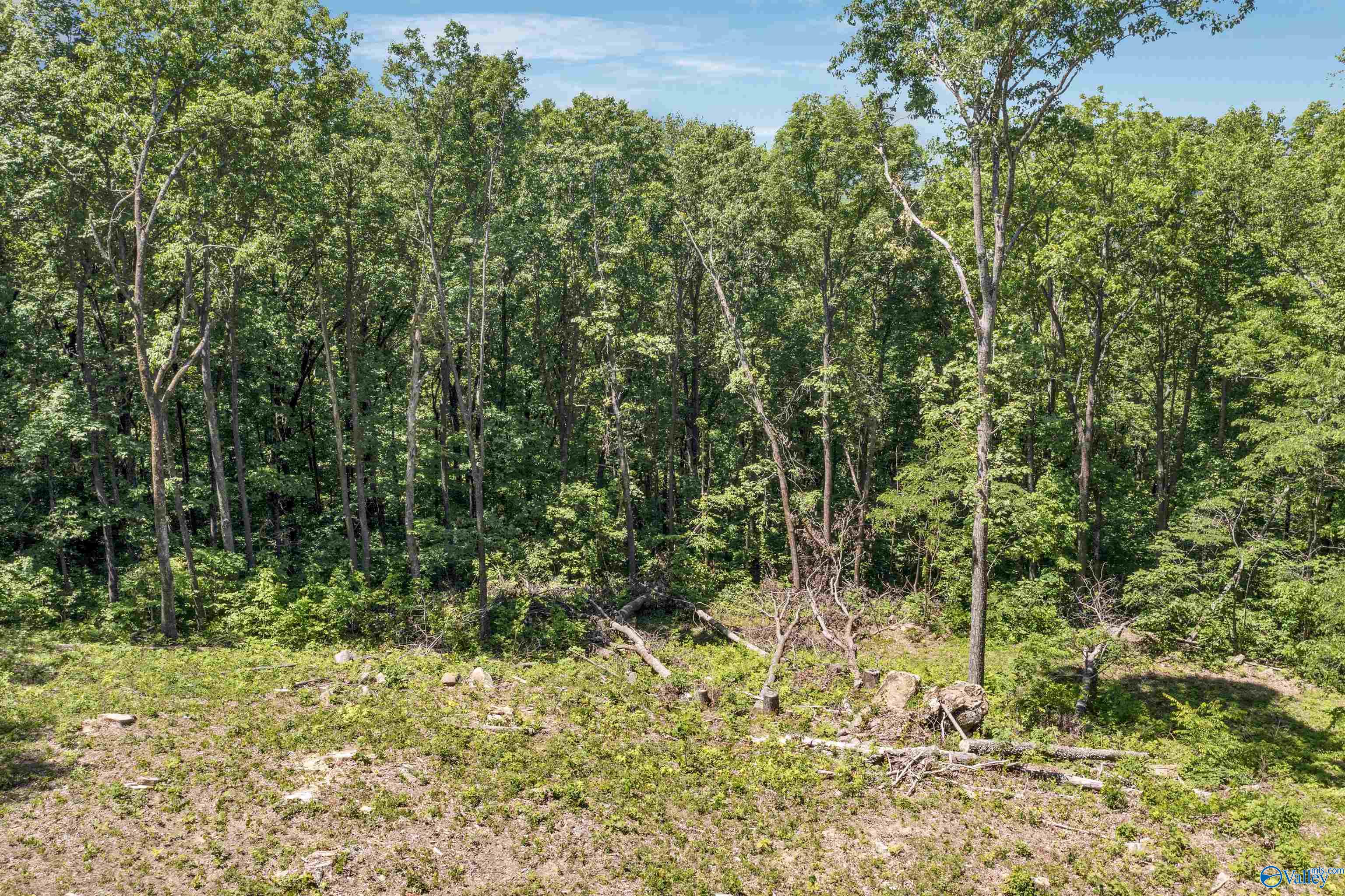 Land in Fort Payne 4