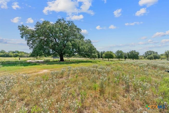 10 Sparta Field Rd, Home with 0 bedrooms, 0 bathrooms and null parking in Waelder TX | Image 12
