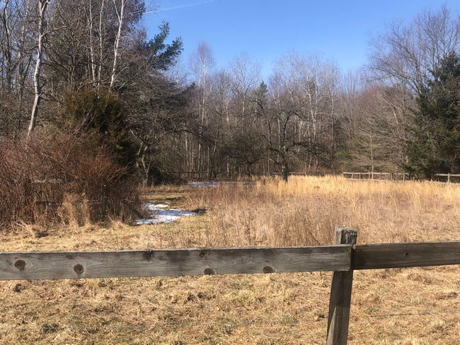Fenced area towards rear of property. | Image 54
