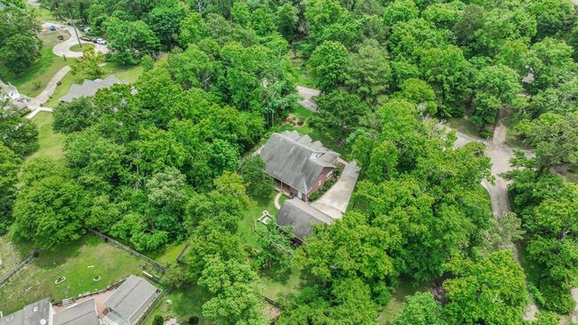 Own a slice of paradise! | Image 41