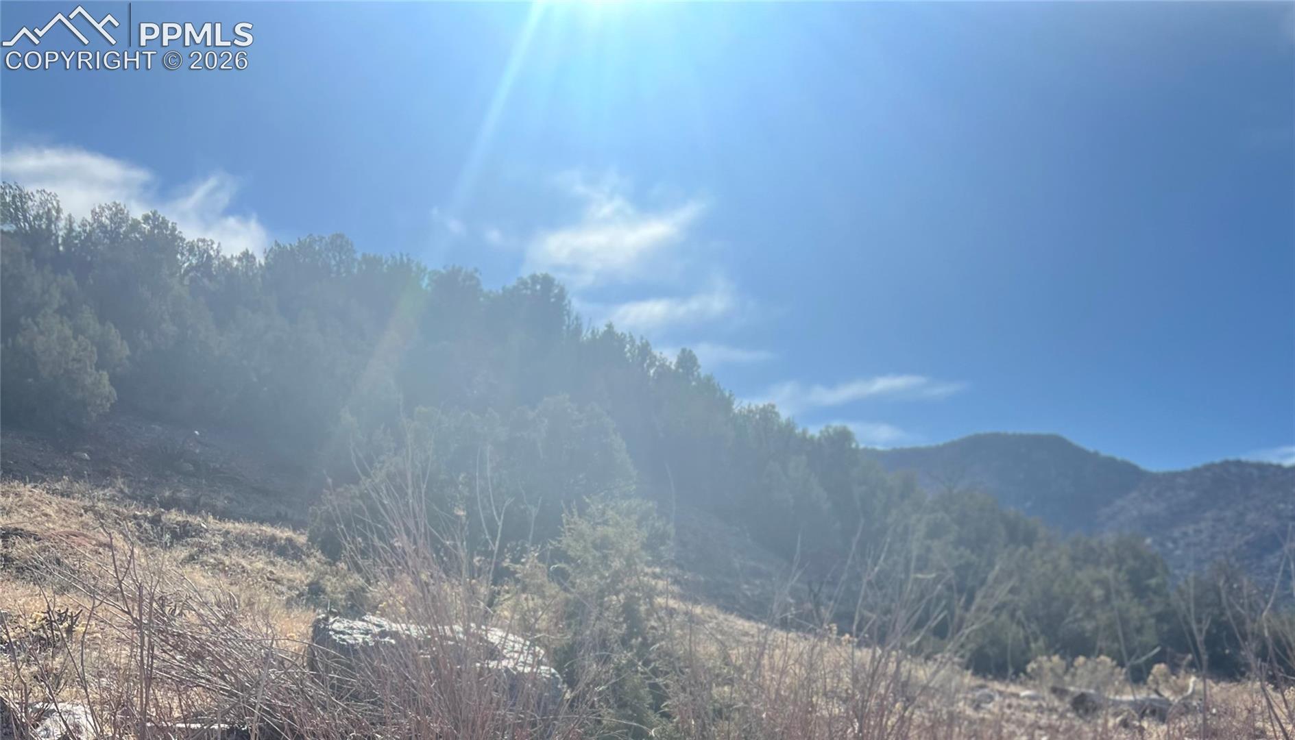 Land in Canon City 3