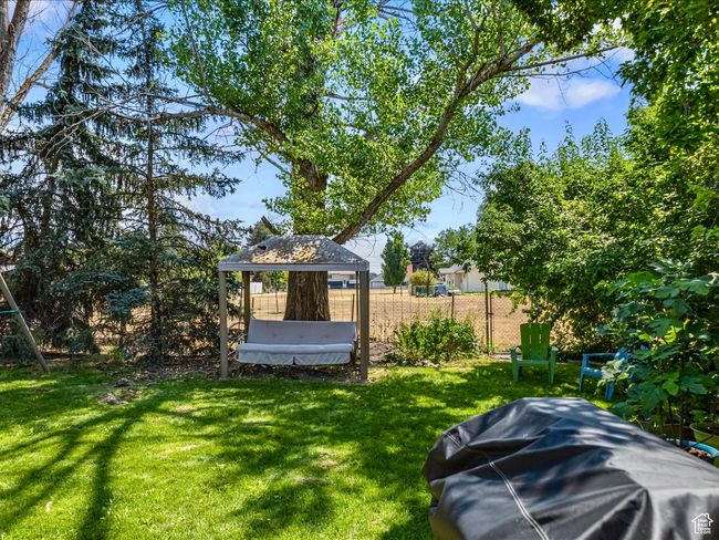 View of yard with a gazebo | Image 16