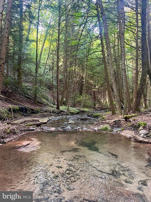 2600 Beech Creek Mountain Rd, Beech Creek, PA, 16822 | Card Image
