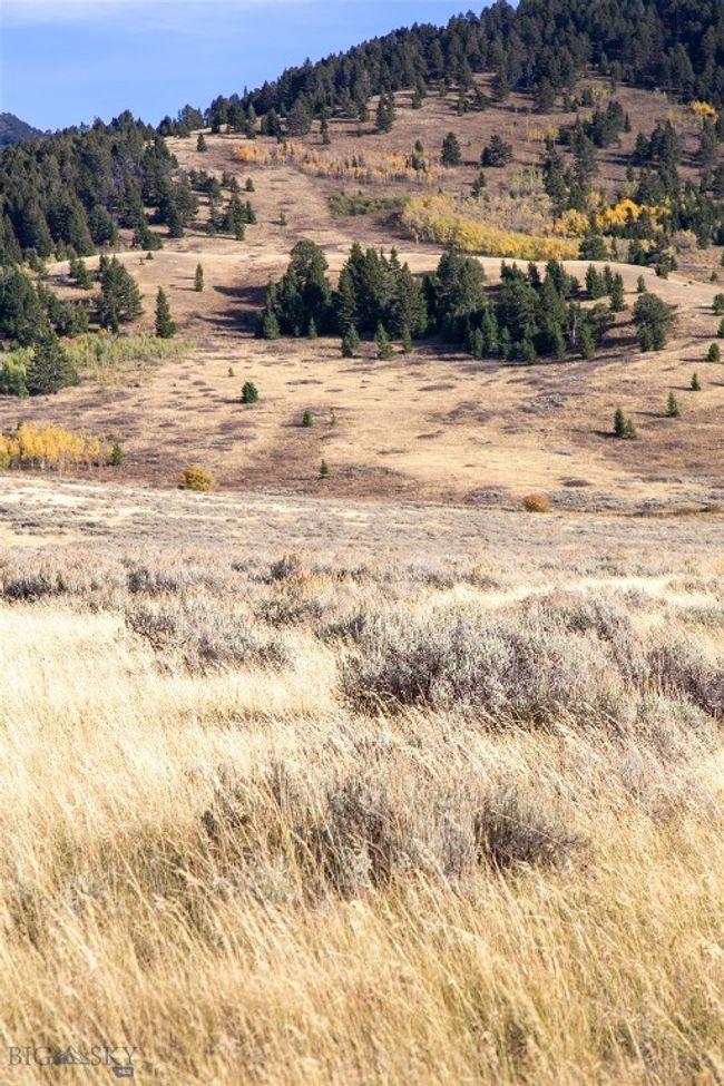 77 Gvt Lot 6 Final Legal Tbd, Home with 0 bedrooms, 0 bathrooms and null parking in Cameron MT | Image 27