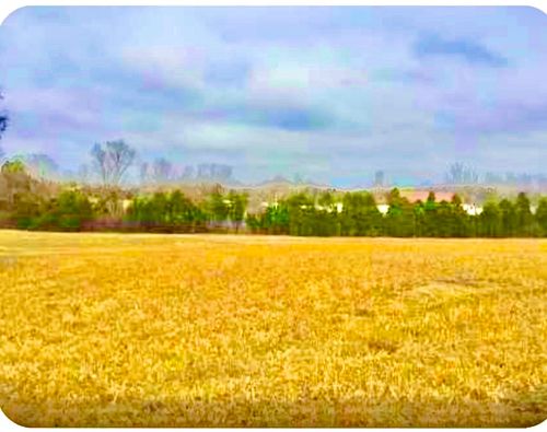 300 N Mount Juliet Rd, Mount Juliet, TN, 37122 | Card Image