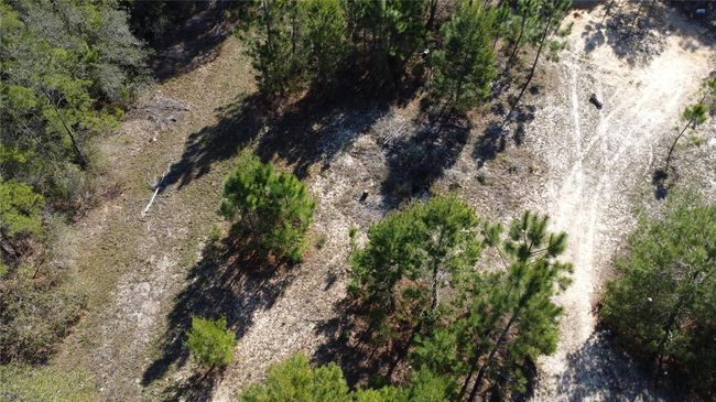 20-07S-04W-4212-0044-0080 Avenue J N, Home with 0 bedrooms, 0 bathrooms and null parking in CARRABELLE FL | Image 11