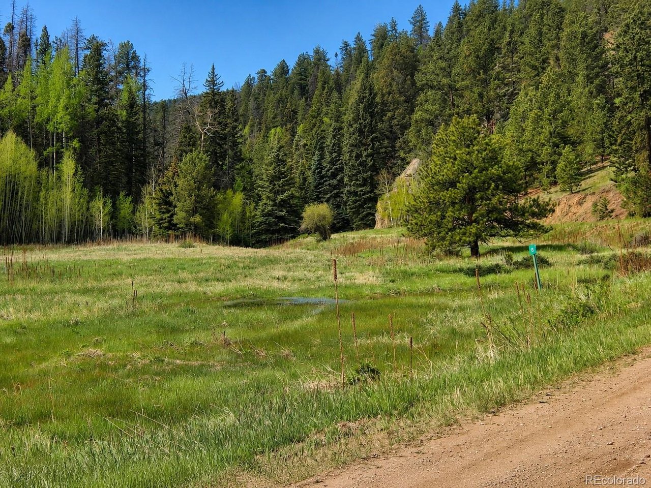 Land in Westcliffe 2