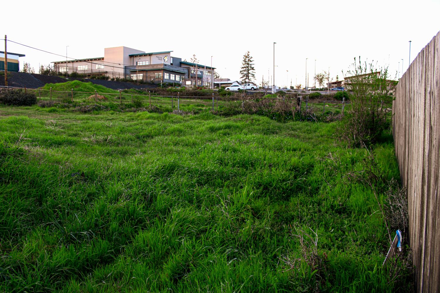 Land in Paradise 4