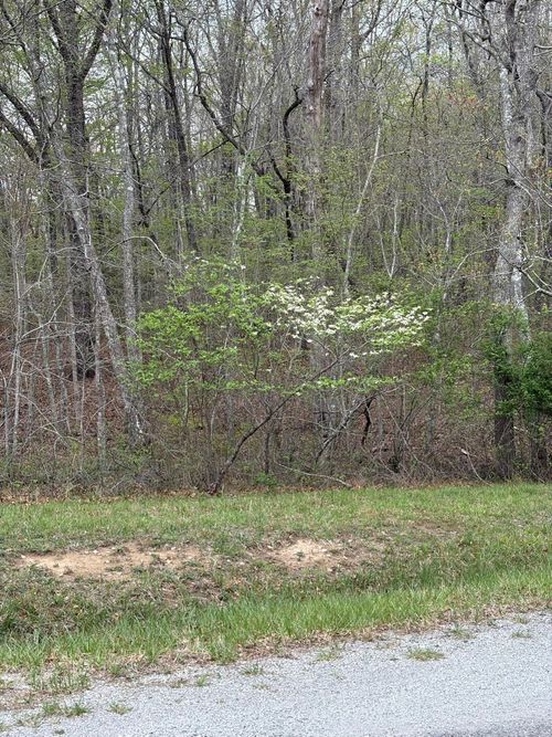 9 Cumberland Lakes Dr, Monterey, TN, 38574 | Card Image