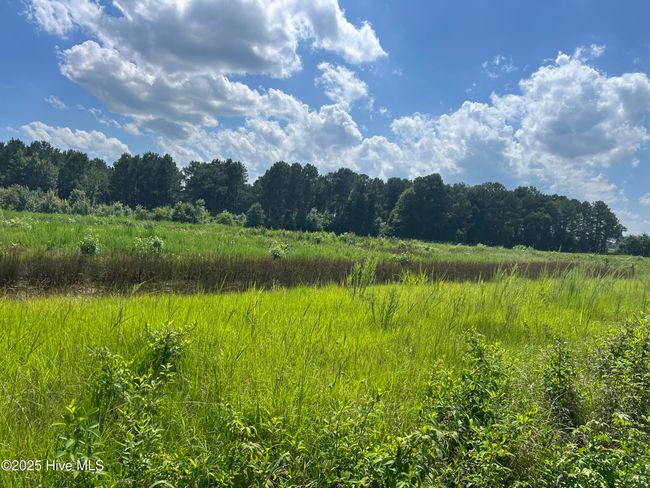 3 - 6639 Stokestown St John Rd, Home with 0 bedrooms, 0 bathrooms and null parking in Ayden NC | Image 6