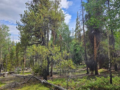 7923 Suds Spot, Fairplay, CO, 80440 | Card Image