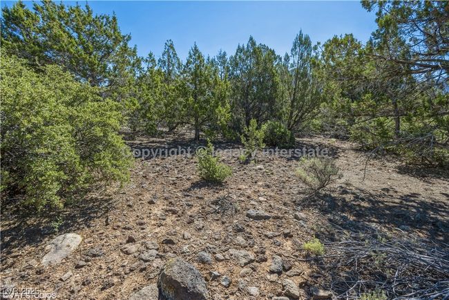View of yard | Image 11
