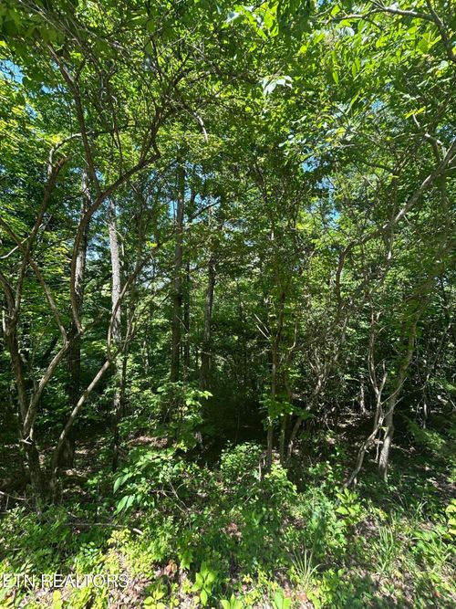 lot 714 Russell Bros Rd, Sharps Chapel, TN, 37866 | Card Image