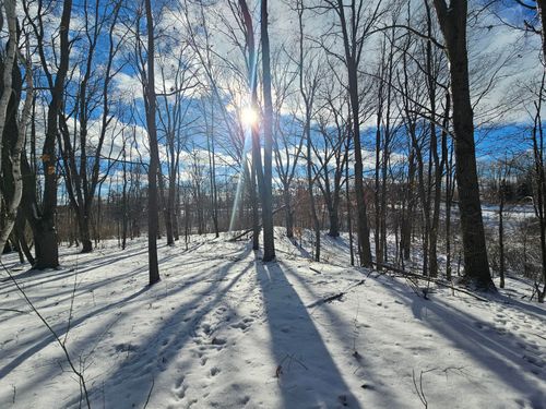 1 120th Ave, Rodney, MI, 49342 | Card Image