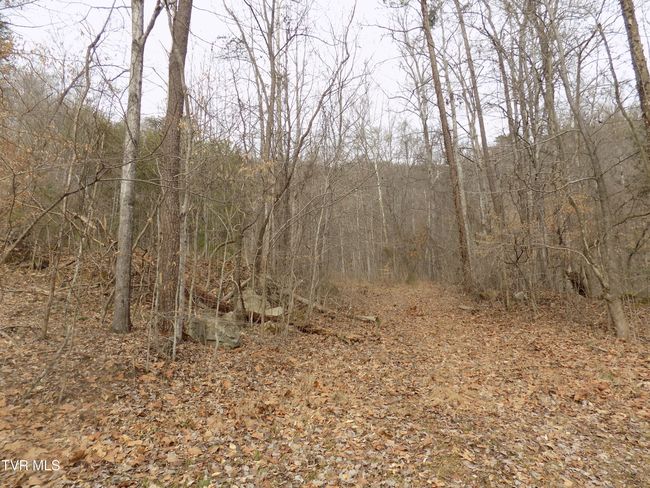 185 Lovin Rd, House other with 4 bedrooms, 2 bathrooms and null parking in Mooresburg TN | Image 45