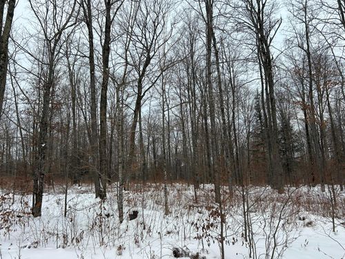 Lot 18 Cth G, Pelican Lake, WI, 54463 | Card Image