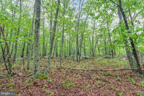 55 Scarlet Way, BIGLERVILLE, PA, 17307-9098 | Card Image