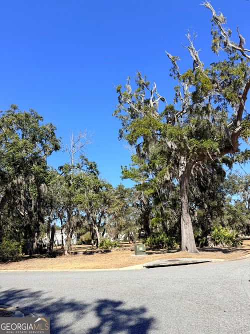 lot-60-0 Maiden Creek Dr, Waverly, GA, 31565 | Card Image