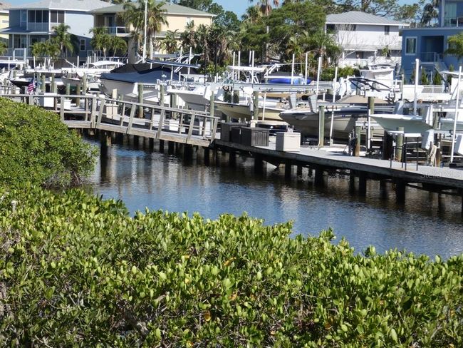 545 Walden Ct, Townhouse with 3 bedrooms, 3 bathrooms and null parking in DUNEDIN FL | Image 6