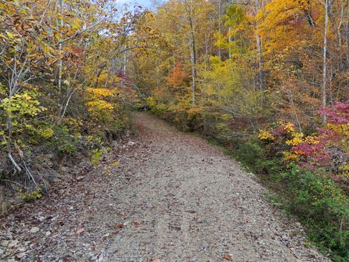 9999 N Highway 11, Manchester, KY, 40962-5442 | Card Image