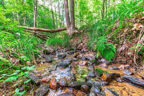 Lot 22 Meadow Brook Trl, Morganton, GA, 30560-3563 | Card Image