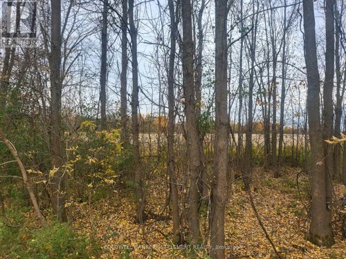 Lot 5 Bush Rd, Elgin, ON, K0G | Card Image