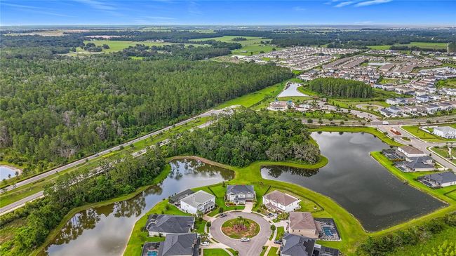 33668 Willow Point Ct, House other with 5 bedrooms, 4 bathrooms and null parking in WESLEY CHAPEL FL | Image 80