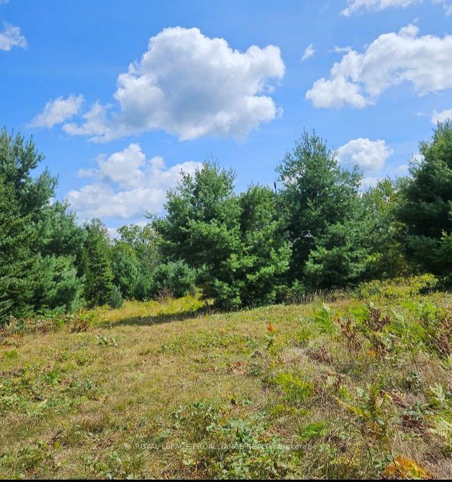 00 Highway 41, Home with 0 bedrooms, 0 bathrooms and null parking in Kaladar ON | Image 16