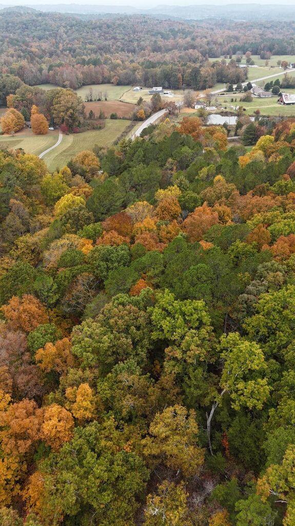 Land in Georgetown 5