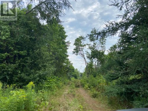 Lot 22-1 Primrose Rd, Cardigan, PE, C0A | Card Image