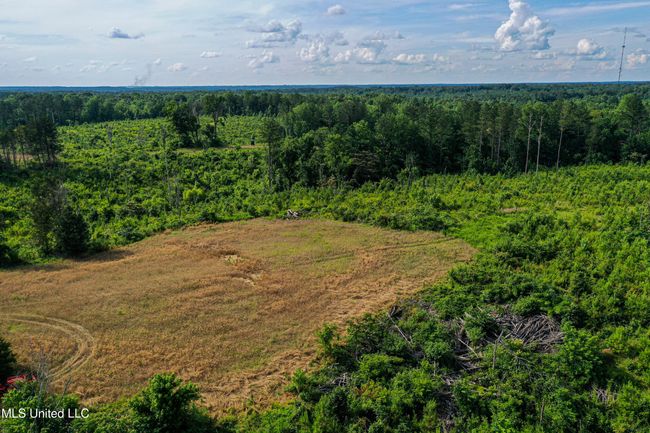 DJI_0241 | Image 11