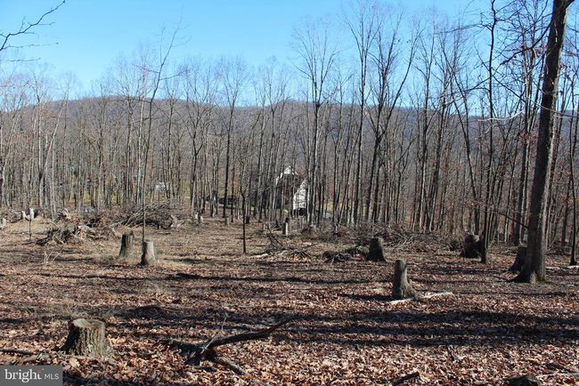 141 Hillcrest Dr, Home with 0 bedrooms, 0 bathrooms and null parking in New Creek WV | Image 14