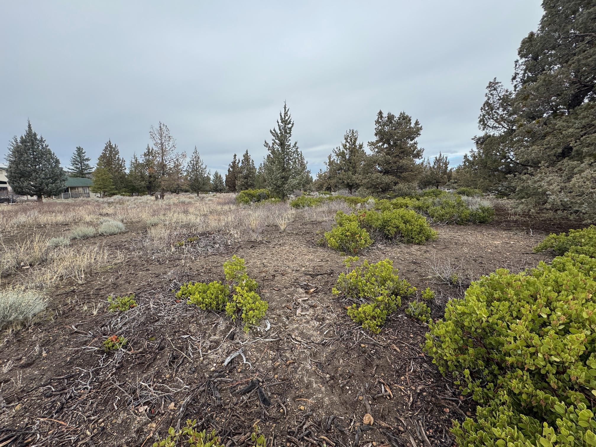 Land in Weed 3