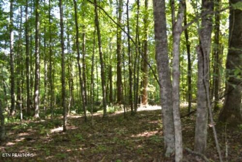 3ac Rock Springs Rd, Celina, TN, 38551 | Card Image