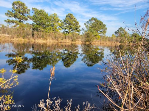 lot-428-Lot 428 Bay Tree Dr, Harrells, NC, 28444-8856 | Card Image
