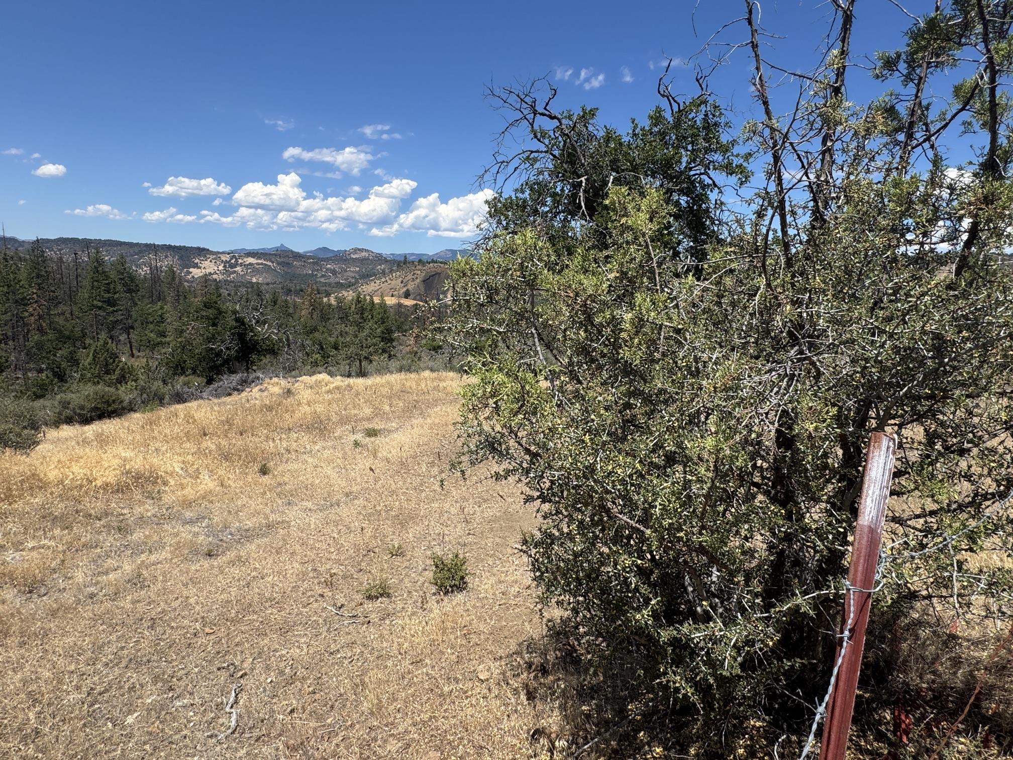 Land in Montague 2
