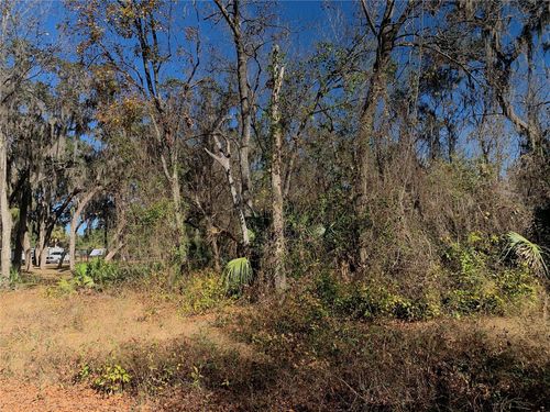 00 Faye St, Hawthorne, FL, 32640 | Card Image